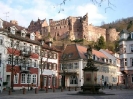 Heidelberg_3